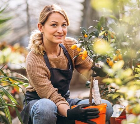 Certificate In Horticulture